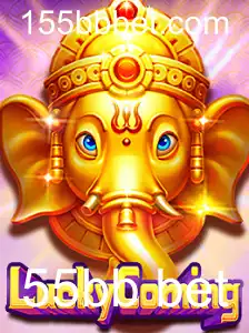 55bb bet Promoção